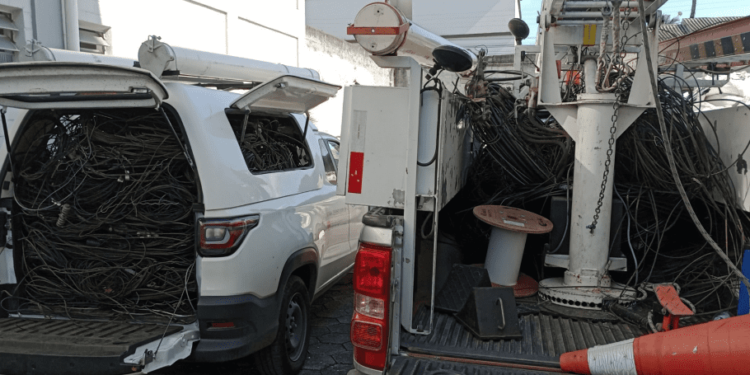 Mutirão de limpeza da rede elétrica completa um ano