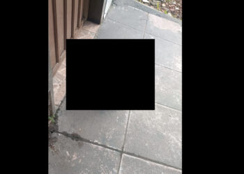 Cabeça de homem é encontrada em posto de combustíveis de Araquari