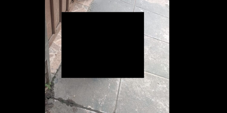 Cabeça de homem é encontrada em posto de combustíveis de Araquari