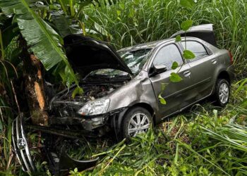 Carro com mulher e criança bate contra árvore em Schroeder