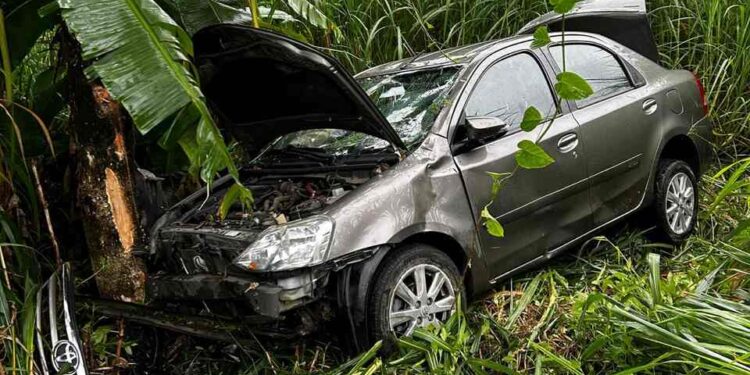 Carro com mulher e criança bate contra árvore em Schroeder