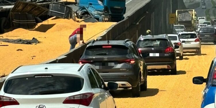 Caminhão derruba carga de soja e interdita a BR-101, em Joinville