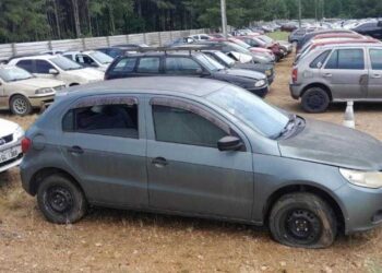 Jaraguá do Sul arrecada mais de R$ 100 mil em leilão de veículos apreendidos