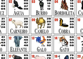 Dono de bar é autuado por jogo do bicho em Jaraguá do Sul