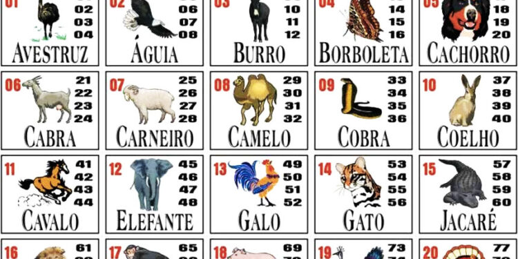 Dono de bar é autuado por jogo do bicho em Jaraguá do Sul