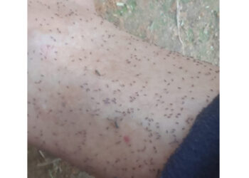 Maruim tira a ‘paz’ e perturba moradores da região