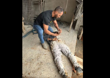 Procurado por homicídio no Pará é preso em Jaraguá do Sul