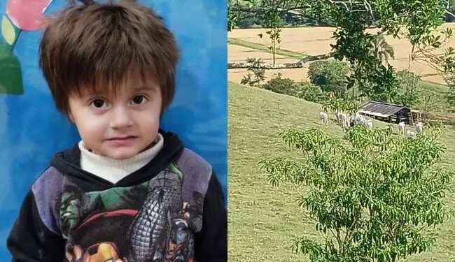 Menino autista de 2 anos que morreu após cair em açude em Itajaí é identificado