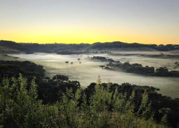 [Fotos] Santa Catarina tem a primeira geada do ano