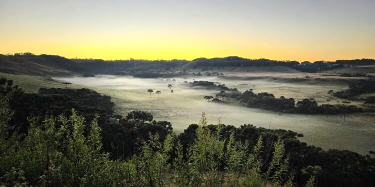 [Fotos] Santa Catarina tem a primeira geada do ano