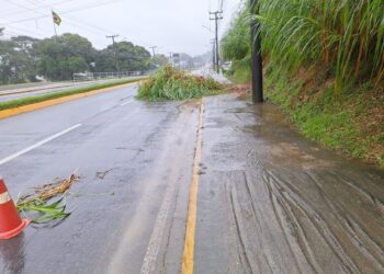 Defesa Civil contabiliza 13 ocorrências por conta da chuva em Jaraguá do Sul
