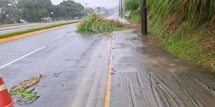 Defesa Civil contabiliza 13 ocorrências por conta da chuva em Jaraguá do Sul