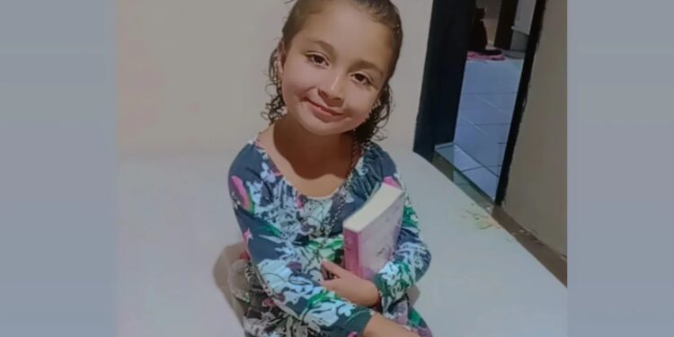 Criança de Barra Velha morre de dengue e mãe acusa médico de negligência