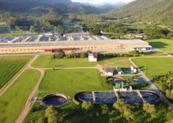 Lunelli lança relatório anual de sustentabilidade com avanços no pilar social e aportes em desenvolvimento profissional dos colaboradores