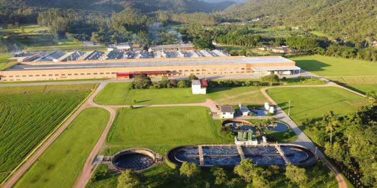 Lunelli lança relatório anual de sustentabilidade com avanços no pilar social e aportes em desenvolvimento profissional dos colaboradores