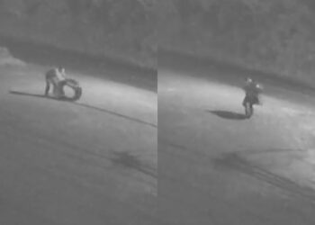 [Vídeo] Ladrões furtam fiação de telefonia em Guaramirim