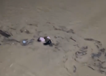 [Vídeo] Durante enchente, mulher é vista em tronco de árvore em Rio do Sul