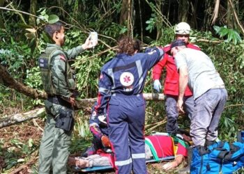 Homem fica gravemente ferido após ser atingido por galho de árvore em São João do Itaperiú