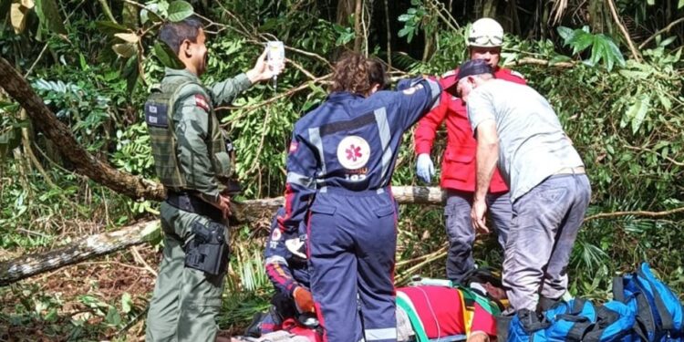 Homem fica gravemente ferido após ser atingido por galho de árvore em São João do Itaperiú