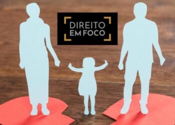 Direito de Visita e Guarda dos Filhos: Diferenças Essenciais