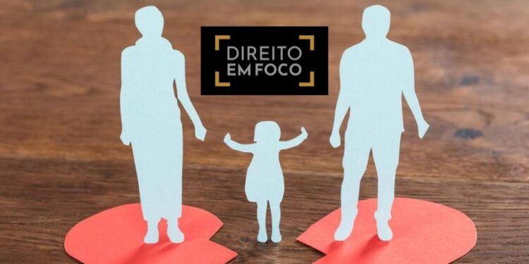 Direito de Visita e Guarda dos Filhos: Diferenças Essenciais