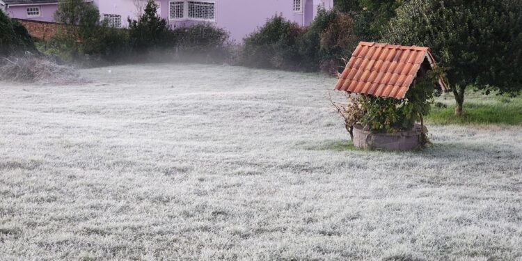 [Fotos] SC registra -5,3°C nesta sexta-feira (31)