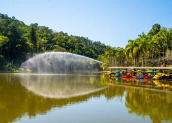Parque Malwee é, novamente, alvo de vandalismo e será fechado como uma medida de conscientização