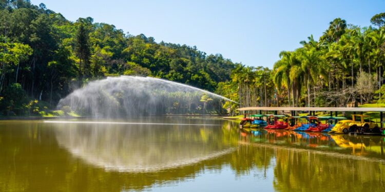 Parque Malwee é, novamente, alvo de vandalismo e será fechado como uma medida de conscientização