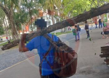 Armado com tronco de árvore, homem procura agressor em Jaraguá do Sul