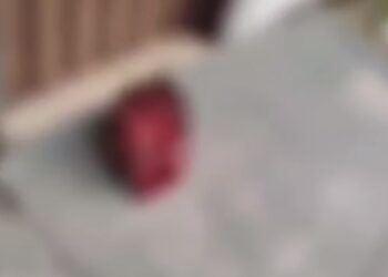 Investigado por decapitação em Araquari é preso