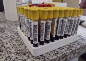 Jaraguá do Sul confirma nova morte por dengue