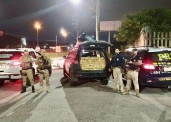 Uma tonelada de maconha apreendida na BR-101 é destruída em Jaraguá do Sul