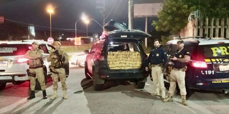 Uma tonelada de maconha apreendida na BR-101 é destruída em Jaraguá do Sul