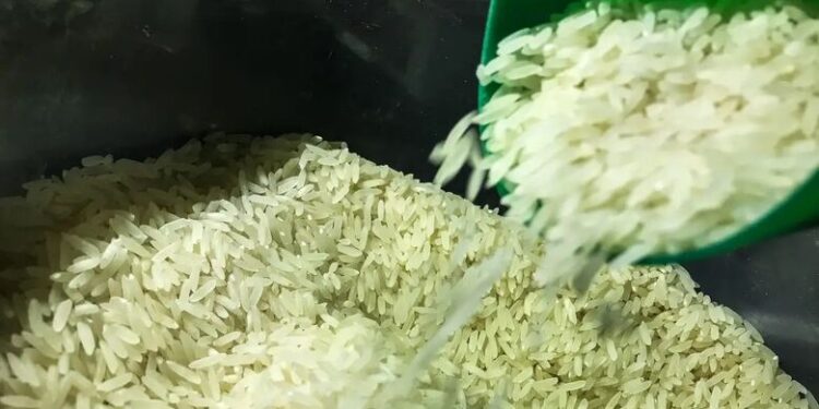 Após Justiça derrubar liminar, leilão da Conab arremata 263 mil toneladas de arroz