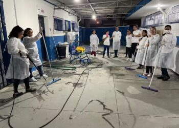 Surto de sarna atinge mais quatro cidades do Litoral Norte de SC