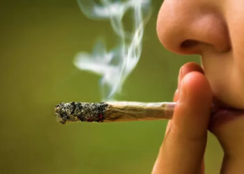 Comissão aprova multa para porte e uso de drogas em ambientes públicos em SC