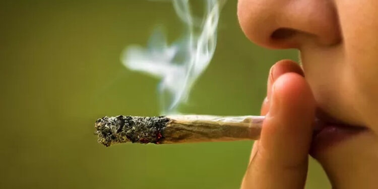 Comissão aprova multa para porte e uso de drogas em ambientes públicos em SC