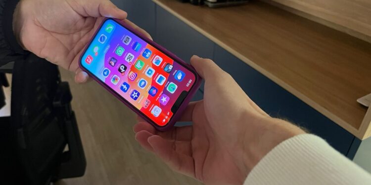 Mulher que aplicou golpe do celular emprestado em Jaraguá do Sul é presa na capital