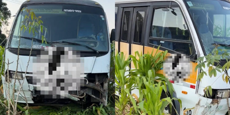 [Vídeo] Ônibus escolar bate em muro e para numa roça de milho em Jaraguá do Sul
