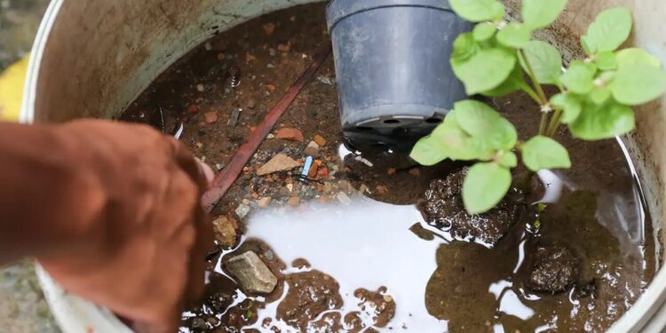 Brasil ultrapassa marca de 5 mil mortes por dengue