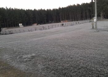 Região de Jaraguá do Sul volta a registrar temperaturas baixas e geada
