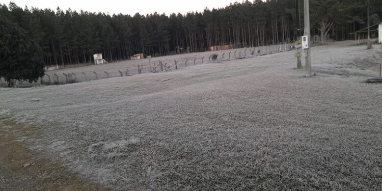 Região de Jaraguá do Sul volta a registrar temperaturas baixas e geada