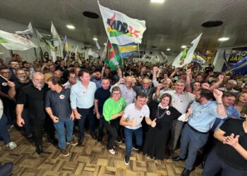 MDB terá candidatos na majoritária em 259 municípios de Santa Catarina