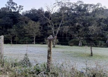Jaraguá do Sul registra temperatura mais baixa do ano