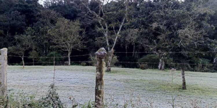 Jaraguá do Sul registra temperatura mais baixa do ano