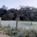 Jaraguá do Sul registra temperatura mais baixa do ano