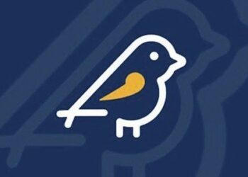 Pardal 2024 receberá denúncias de propaganda eleitoral irregular na internet