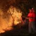Incêndios em vegetação movimentam bombeiros de Jaraguá do Sul