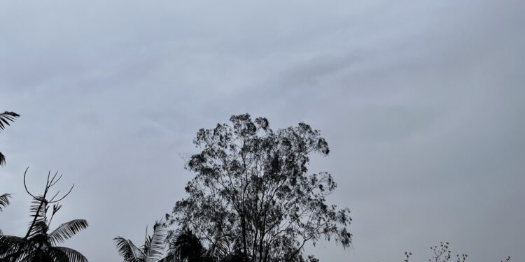 Jaraguá do Sul registra ar 17 vezes mais poluído que o normal, diz site