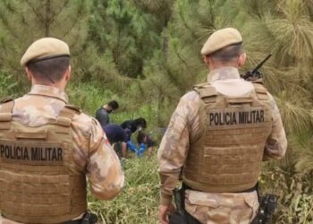 Corpos em decomposição são encontrados em Barra Velha